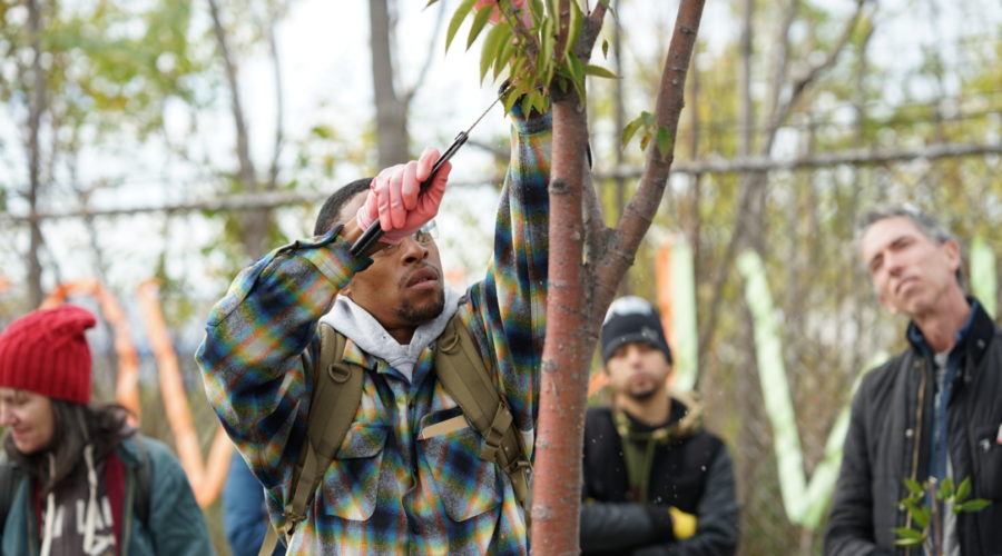 DSC02824 A man using a hand saw to remove a branch from a tree