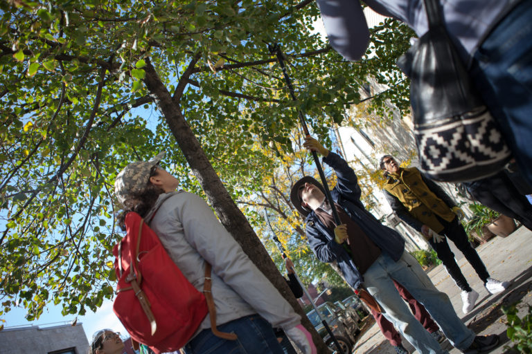 Citizen Pruner class