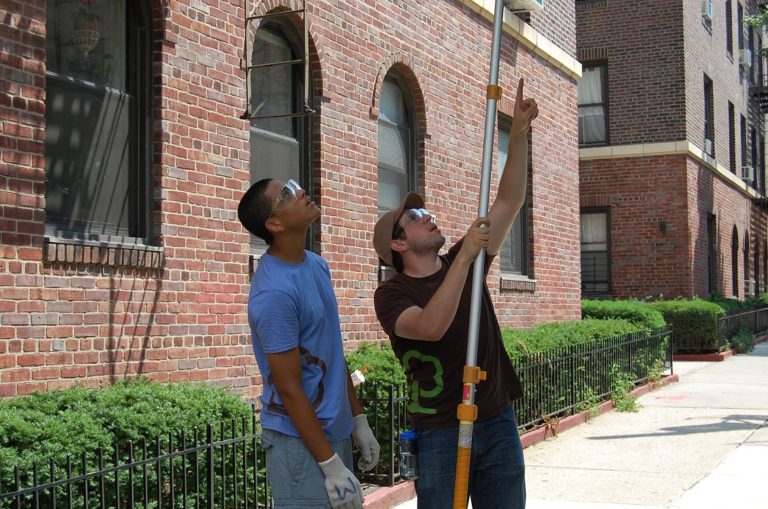 Young Urban Forester Internship