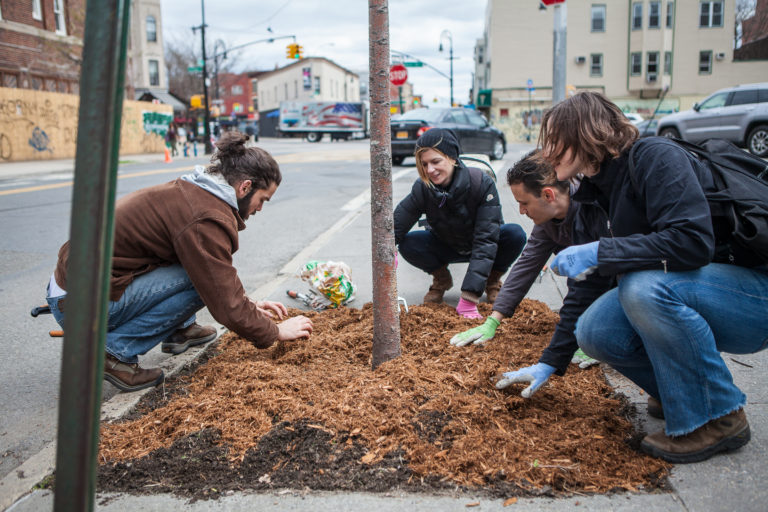 four people spreading wood chips over a tree bed
