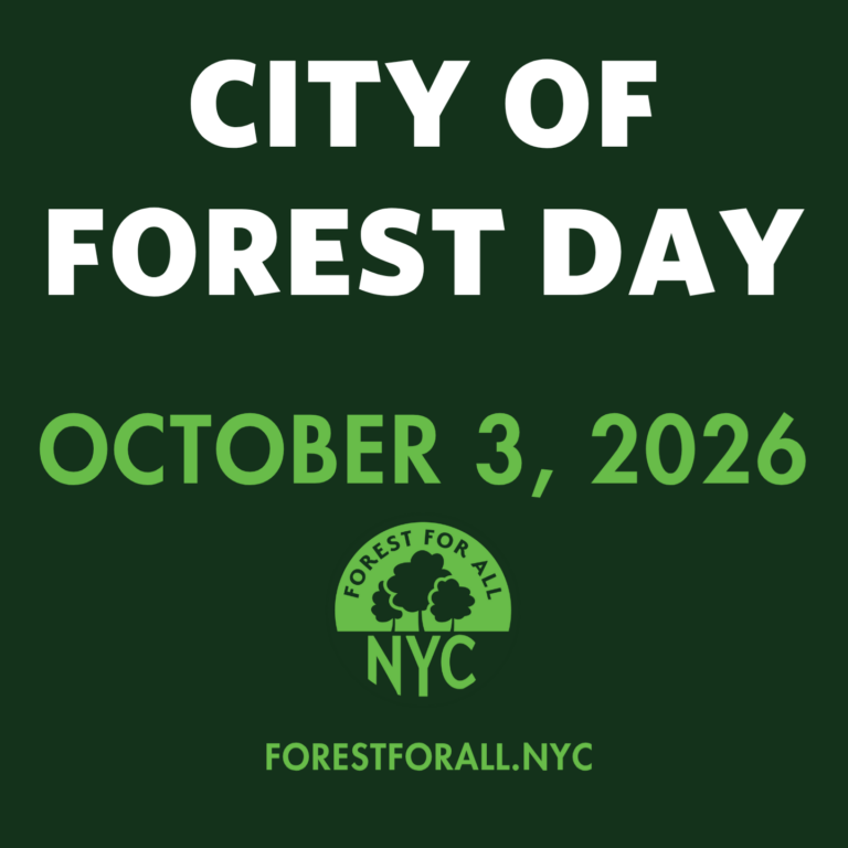 City of Forest Day 2026!