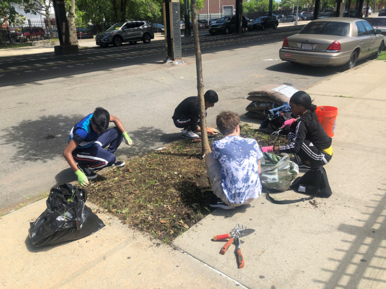 Trees New York & The Bronx is Blooming!